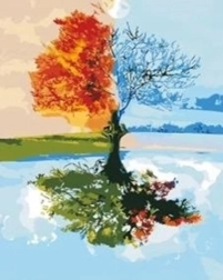 Norimpex krāsošana pēc skaitļiem Koks četros gadalaikos 40 × 50 cm