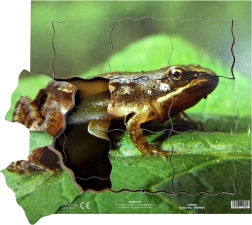 Just Jigsaws Varde un tās dzīves cikls – koka slāņveida puzle