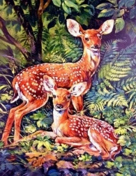 Diamond painting deer in forest 30 × 40 cm