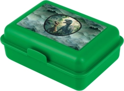 Dino Lunch Box