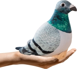 Pūkains meža balodis 20 cm