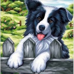 Diamond embroidery (diamond painting) picture “Dog on the Fence” 30 × 30 cm - 1 piece
