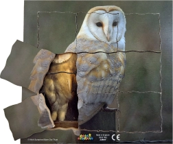 Just Jigsaws Pūce un tās dzīves cikls – koka slāņveida puzle
