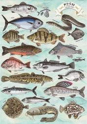 Puzle TREFL Premium Plus Finders Keepers: zivis (Ryby) 500 detaļu