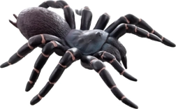Plastmasas tarantuls – reālistiska rotaļlieta bērniem