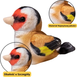 Mazs pūkains putniņš Zilzīlīte