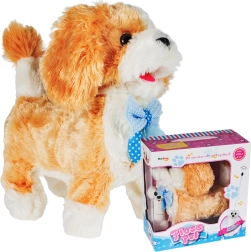 Tālvadāms sunītis