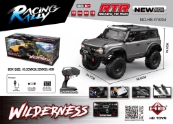 RC auto Wilderness 1:10 pelēks