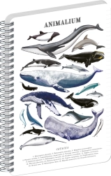 Notique spirālbloknotis Animalium zem jūras A5 līniju