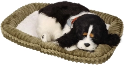 Adoptējiet mani Elpojošs mīkstais suns Kokerspaniels