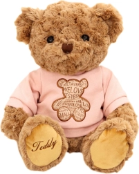 Plush Bear in Pink Shirt Brown 30cm