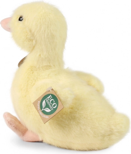 Drošai mīļošanai no 0+