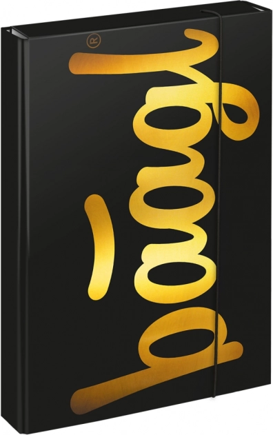 A4 School Notebook Folder Jumbo Gold