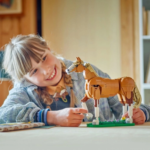 Creative play with animals