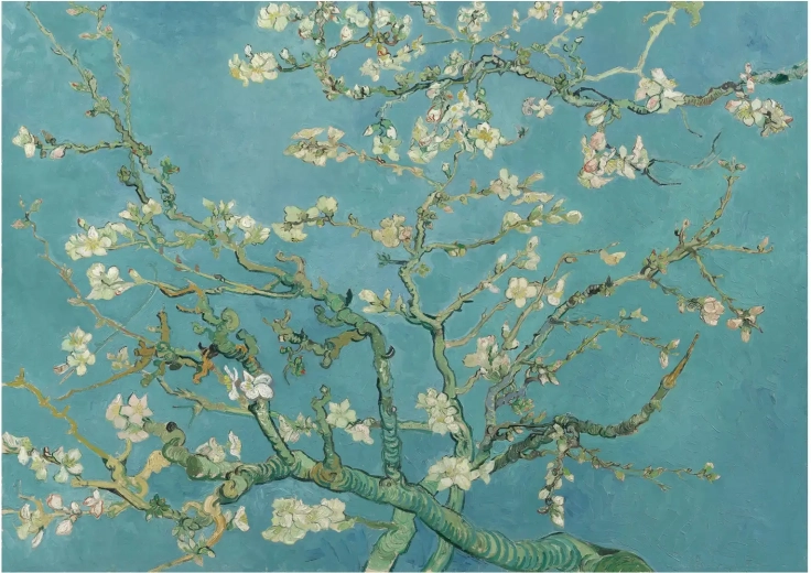 Puzzle Almond Blossom XL 700 pieces ANATOLIAN