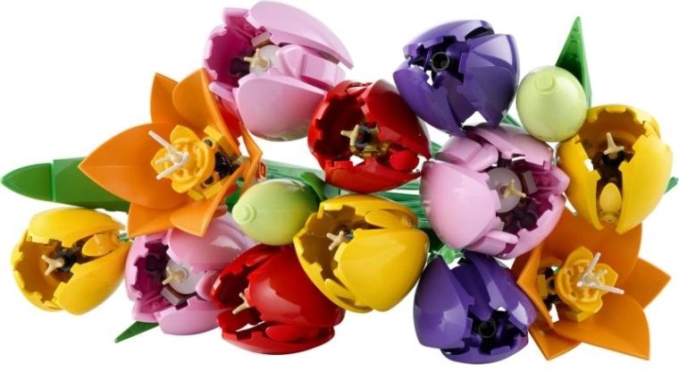 Reālistiskas tulpes košās krāsās