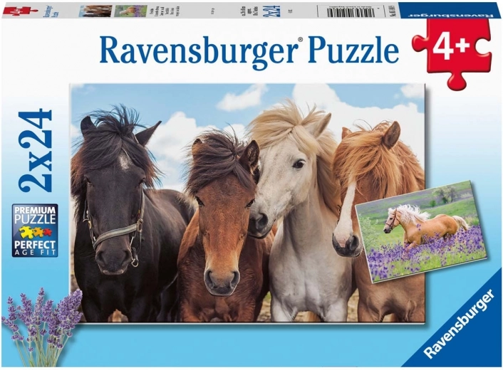 Ravensburger puzle Zirgi 2×24 gabaliņi