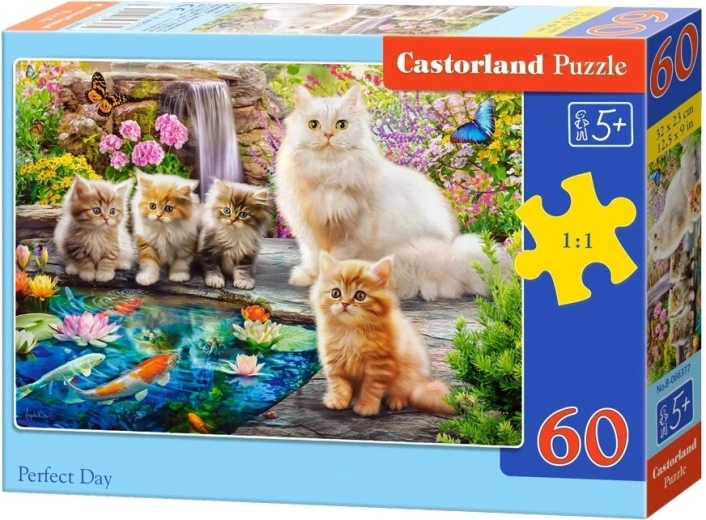 Castorland puzzle Perfect Day 60 pieces