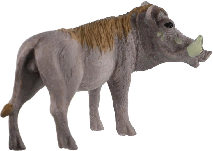 Discovering African fauna
