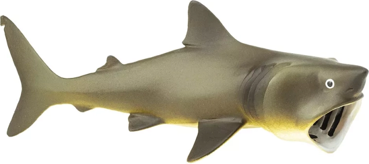 Safari Ltd. Basking Shark - 1 piece
