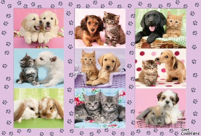 Schmidt Puzzle My Animal Friends 100 Pieces