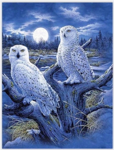 Norimpex gleznošana pēc numuriem “Pūces un mēness” 40 × 50 cm