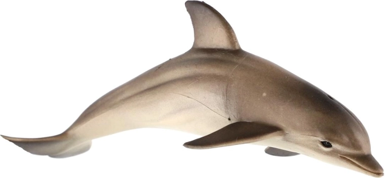 Realistic dolphin design