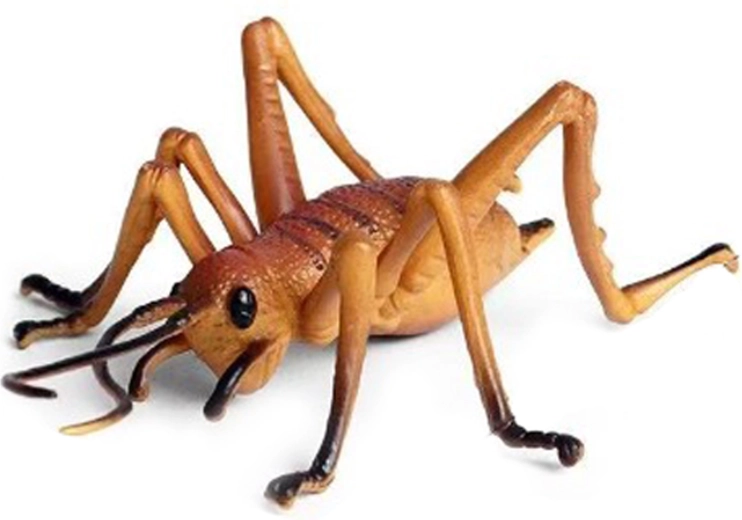Plastmasas cirslis 10 cm