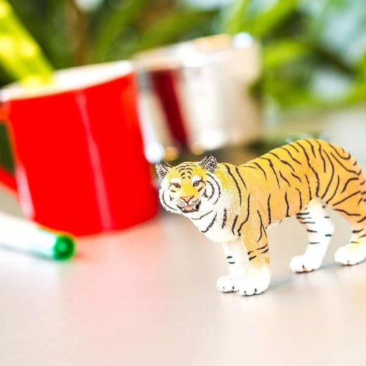 Learning through play for little explorers