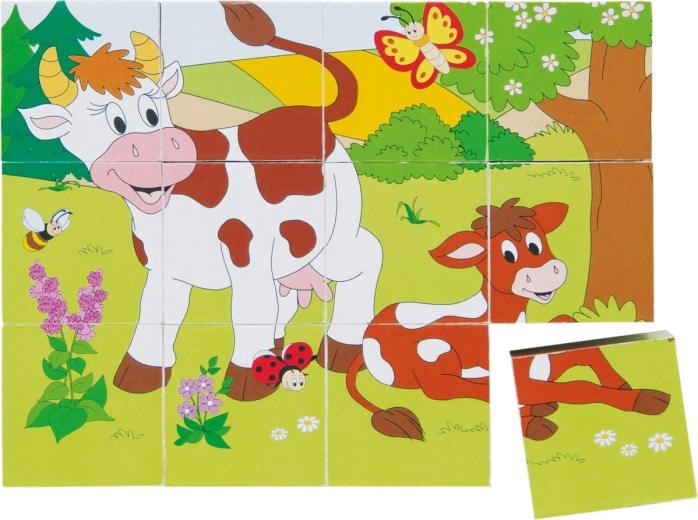 Picture Cubes: Animals in the Seasons
