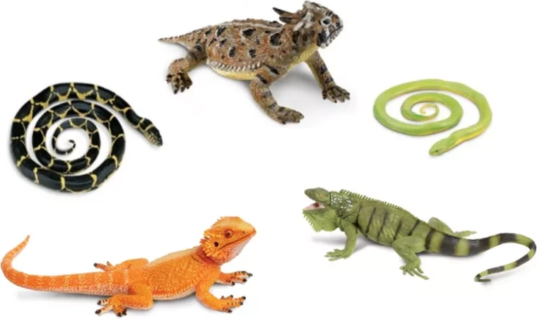 Safari Ltd. čūskas un ķirzakas – 5 figūriņu komplekts