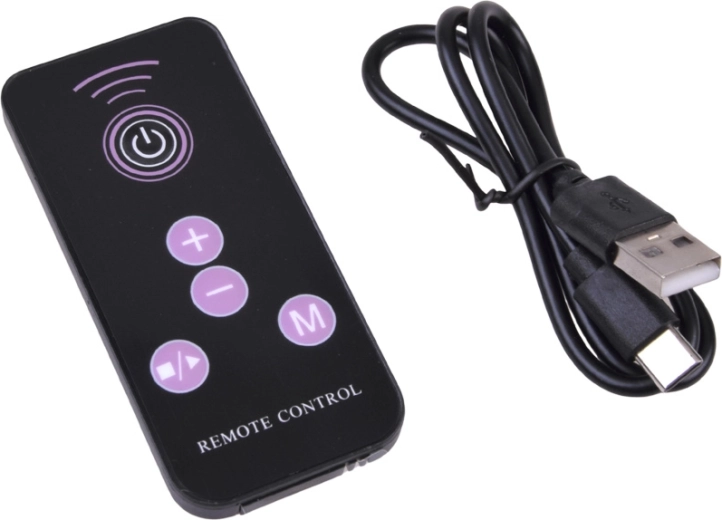 10 speed levels and remote control operation