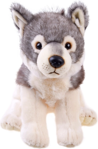 Praktisks izmērs mājām un ceļojumiem