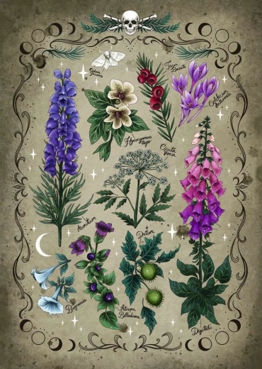 Poisonous Plants Puzzle 1000 pieces