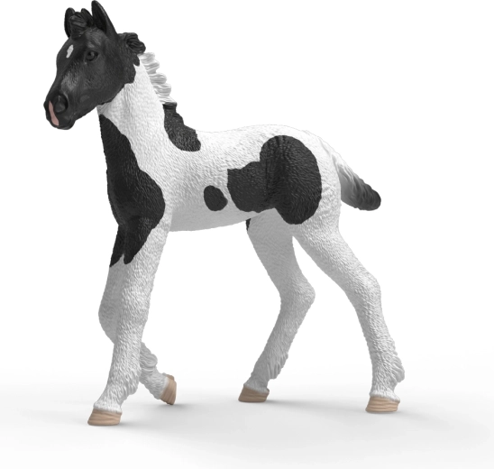 Schleich Horse Club kolekcionējamais kumeļš Rocky – 1 gab.
