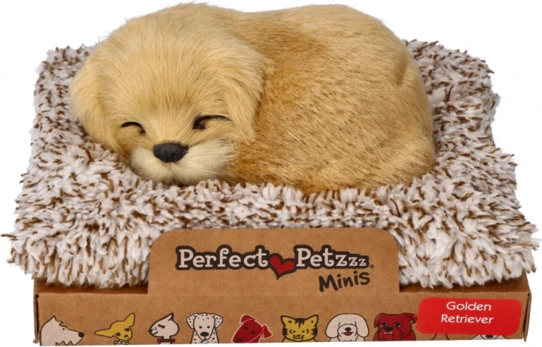 Barking Golden Retriever on a Bed