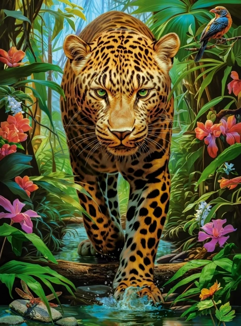 Puzle “Leopards savvaļā” no Castorland, 2000 gabaliņi