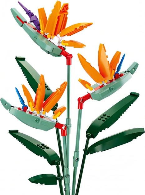 Sluban Flowers Strelīcijas Karaliskā