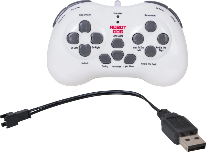 Dual control: controller and voice commands