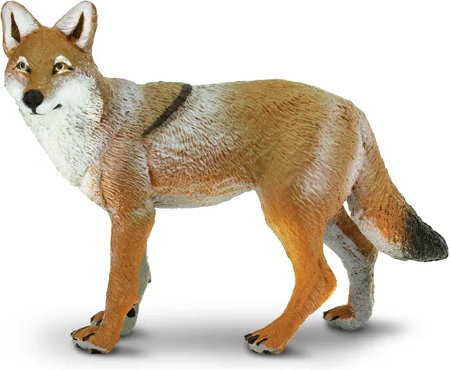 Coyote Safari Ltd. - 1 piece