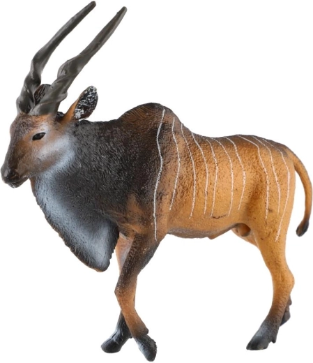 Distinctive long horns