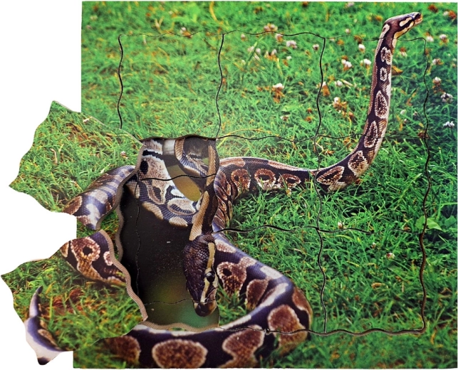 Just Jigsaws čūskas dzīves cikls – koka slāņainā puzle