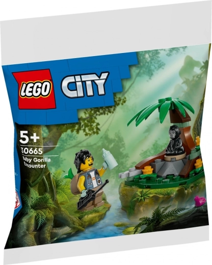City Adventure Bricks Meeting with a Small Gorilla