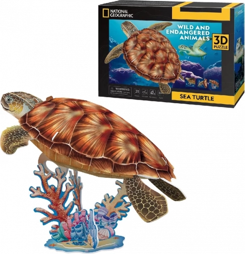 3D puzle NATIONAL GEOGRAPHIC jūras bruņurupucis – 31 detaļa