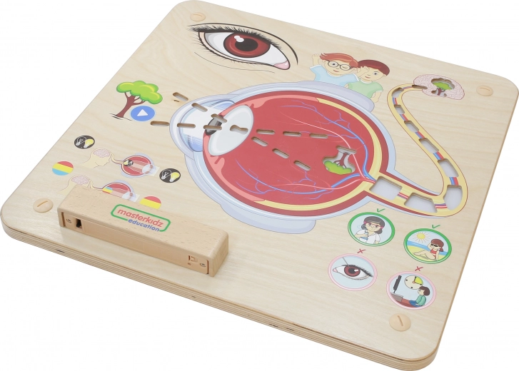 Masterkidz Izglītojošā tāfele Redze Montessori