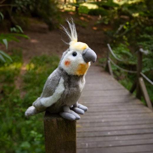 Droša izvēle pašiem mazākajiem