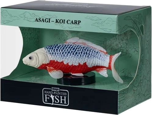 Mojo koi carp asagi in a box - 1 piece