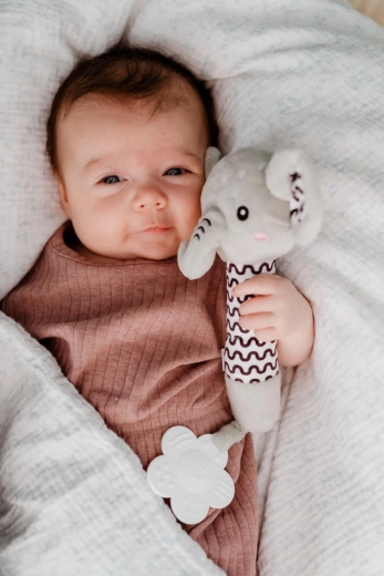 Maigs pīkstiens maņu attīstībai