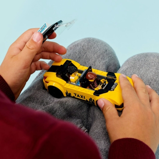 Opening sections and space for minifigures