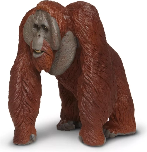 A figurine for young and adult explorers